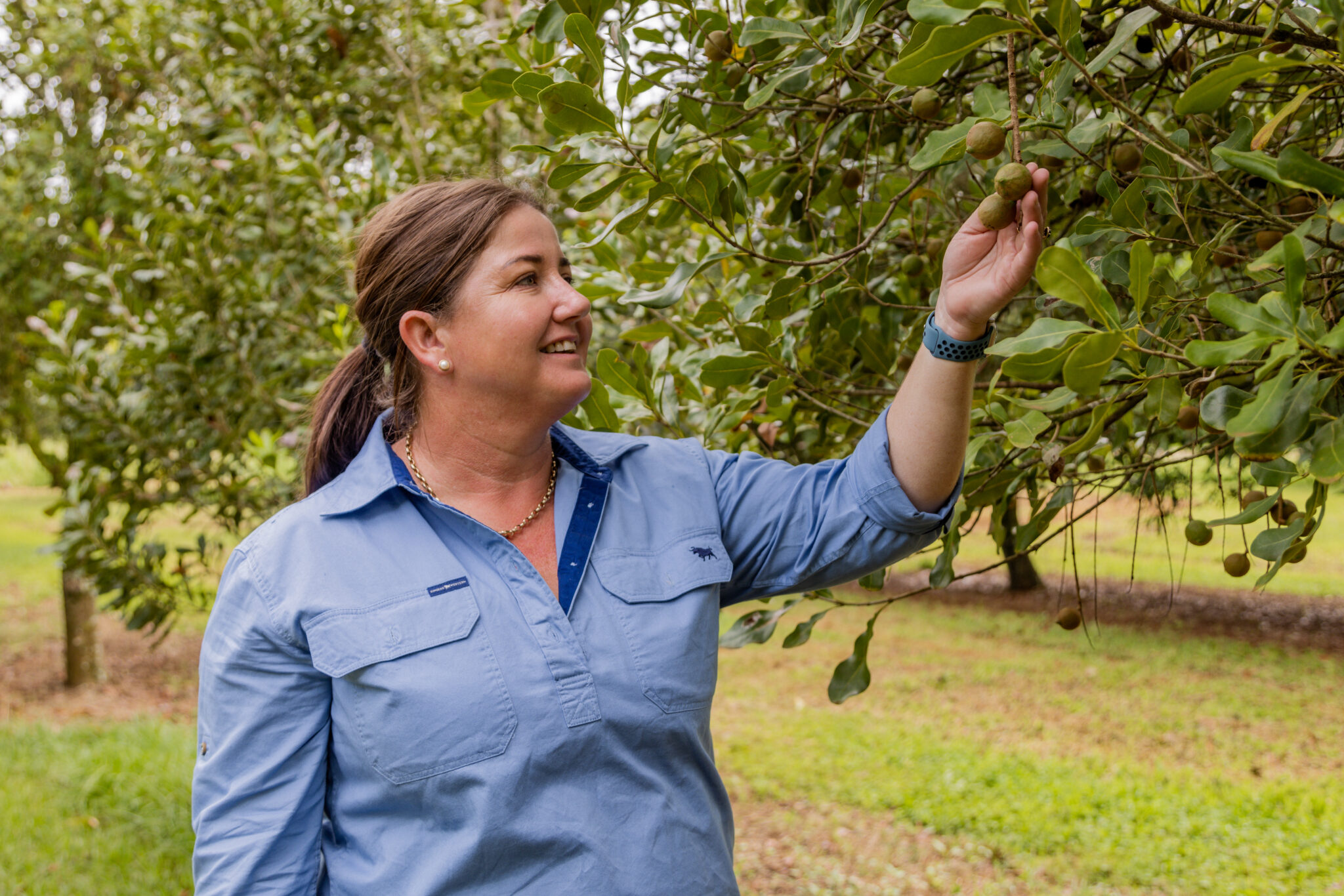 Grower profile: Michelle Ninness - Australian Macadamias