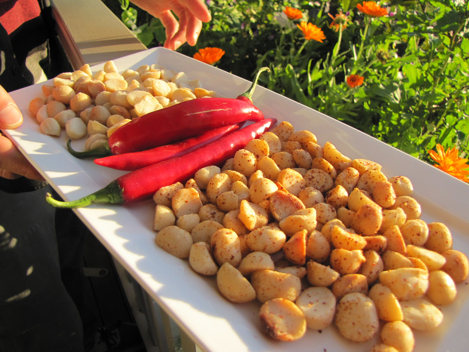 roasted macadamias with chilli