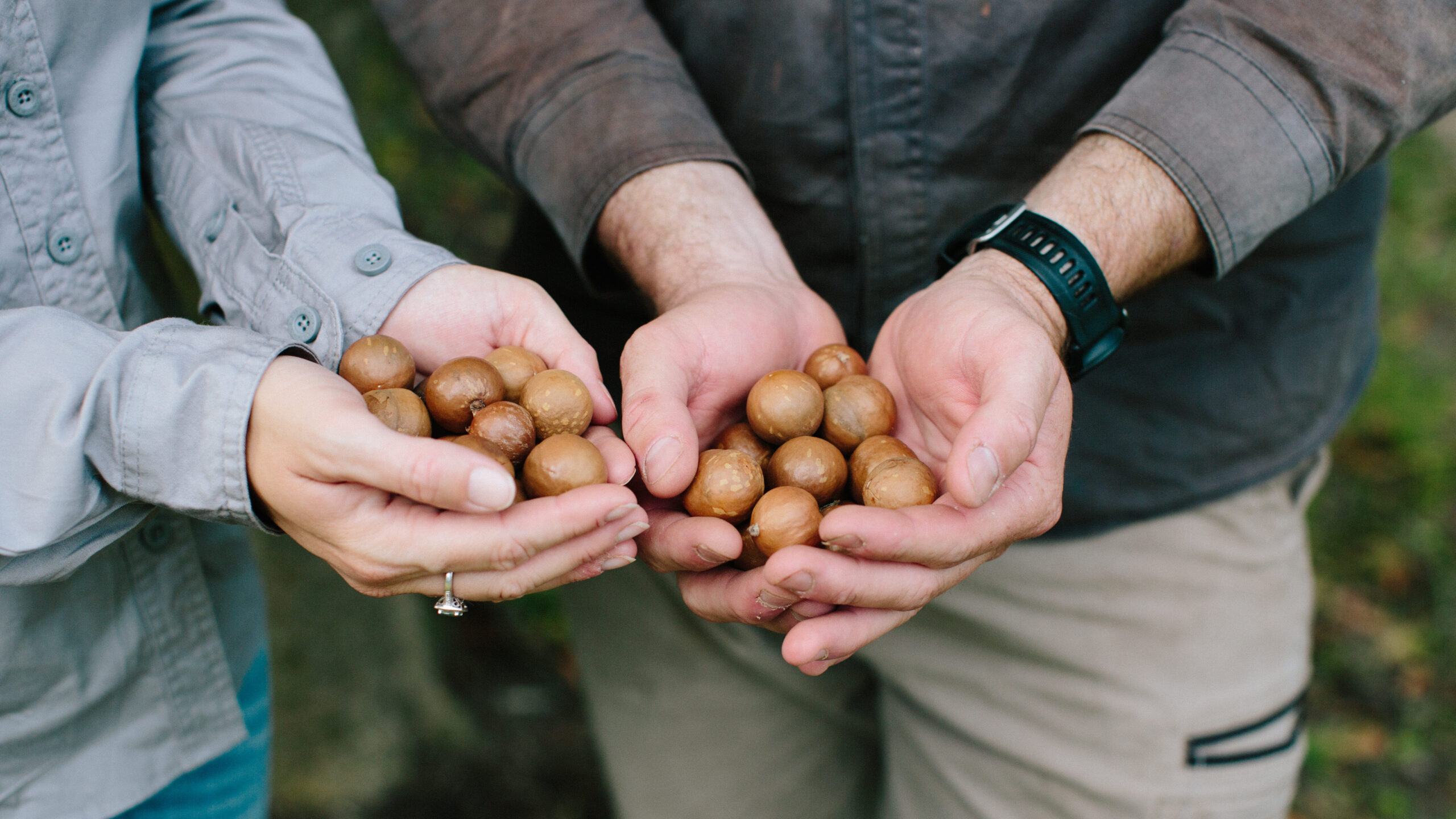 Macadamia farmers Claire and Pat Wilson holding macadamias in shell