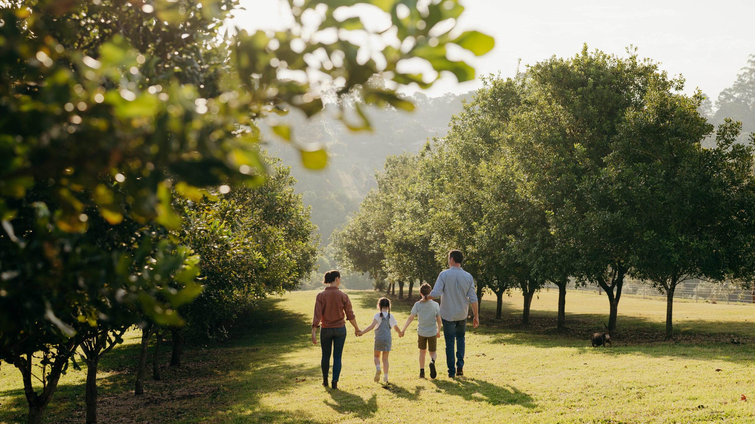 Giaan Rooney with her family in the macadamia orchard