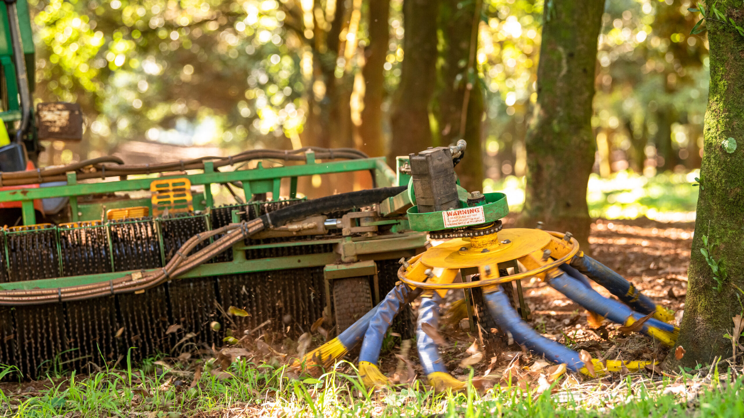 Macadamia sweeper to help with harvest