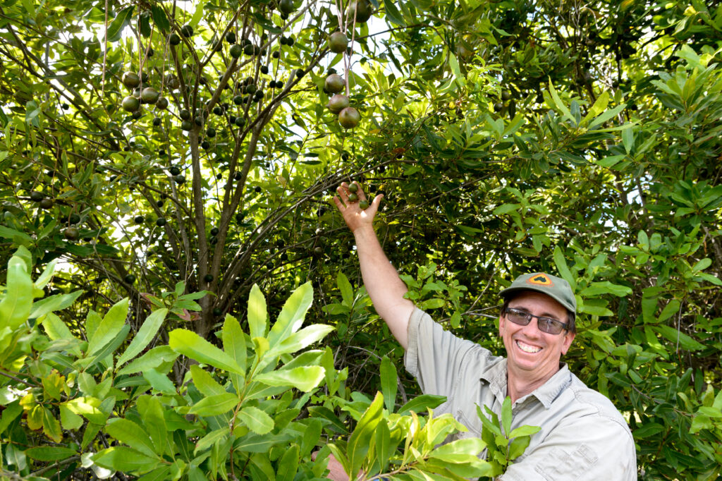 Macadamia grower Craig Van Rooyen in 2016