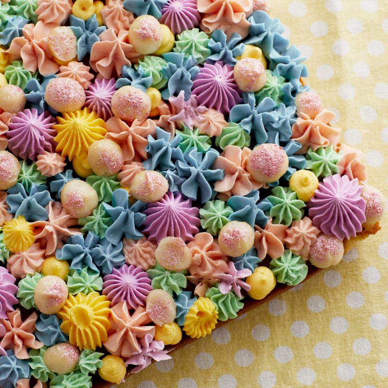 2002 Crazy colour cake with glittered macadamias (1)