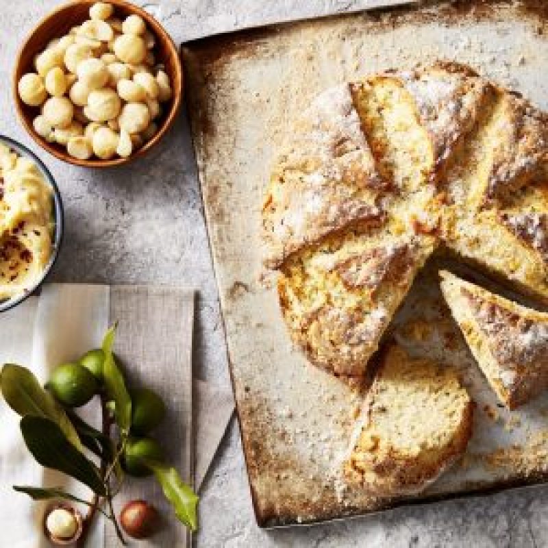 2401Macadamia-and-parmesan-damper-with-chilli-macadamia-butter-6-scaled-qlutmokw49kd4y4yxq6xmqzx5mrgyls34wtpvyexfc