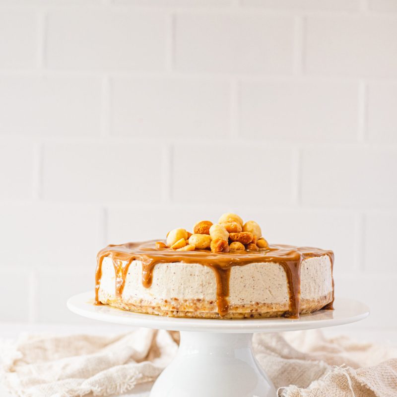 Vegan_macadamia_ice_cream-cake